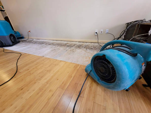 Reliable Emergency Water Removal contractor in New Bedford, PA by Hirex Water Damage